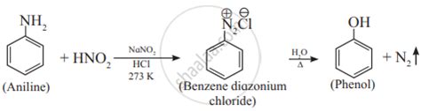 Write preparation of phenol from aniline. - Chemistry | Shaalaa.com