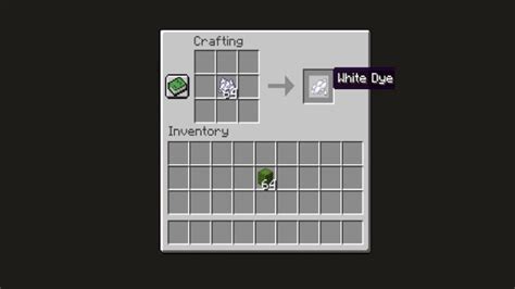 How to Make White Dye in Minecraft?