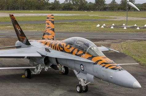 The RAAF Prepares for Its Final Year of Operating the Classic Hornet ...