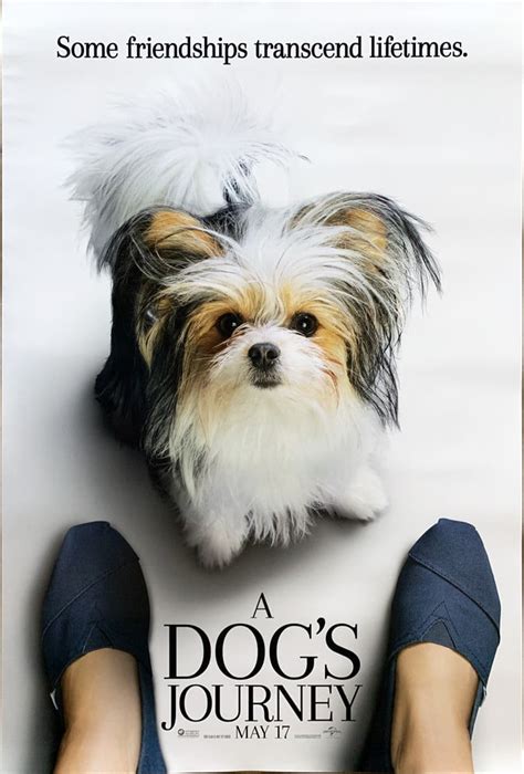 A Dog's Journey - Movie Posters Gallery