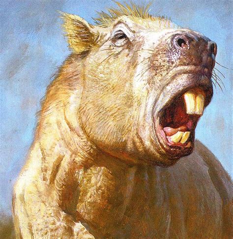 Giant, ancient rodents may have used their teeth like an elephant’s tusks - The Washington Post