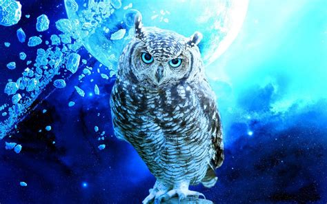 Blue Owl Wallpapers - Top Free Blue Owl Backgrounds - WallpaperAccess