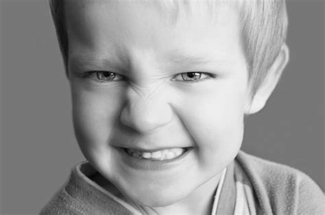 Snarling Child Free Stock Photo - Public Domain Pictures