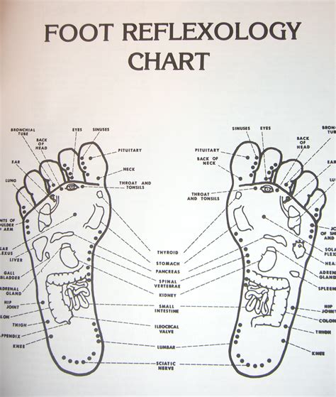 Introduction to Acupressure Points, Qi Gong, Self-Acupressure | Acupressure Points