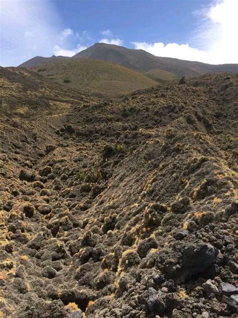 Mount Cameroon hiking