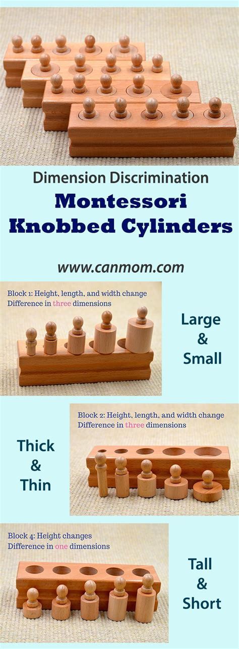 Montessori knobbed cylinders. Wonder educational material for age 3-6 | Learning toys, What ...