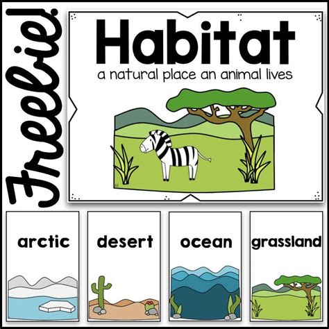 Free habitat poster card visuals! https://www.teacherspayteachers.com/Product/Habitats-Poster ...