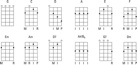 Learn Basic Banjo Chords - Bailey and Banjo