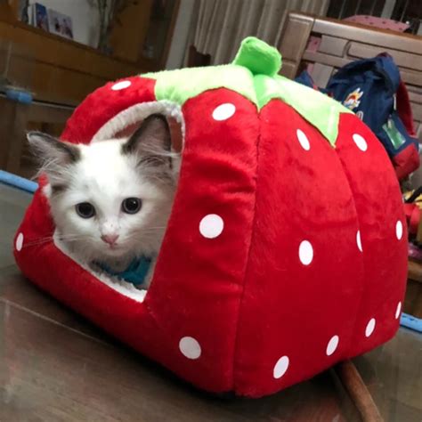 Cute Strawberry Pet Cat House Home For Cats Foldable Cat Kennel Kedi Evi Katten Mand Casa Gatos ...