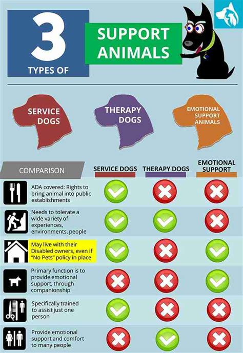 Emotional Support Animals Chart | Emotional Pet Support