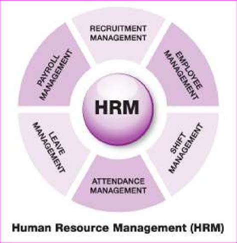 Structure of Human Resources Management (HRM) Download Scientific ...