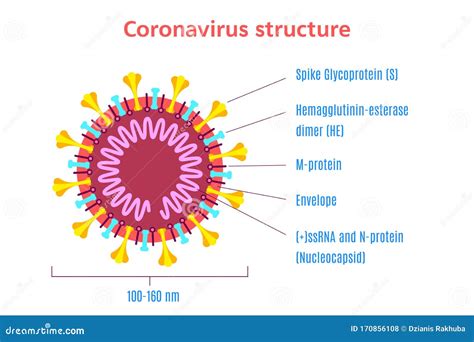 Vector Organism