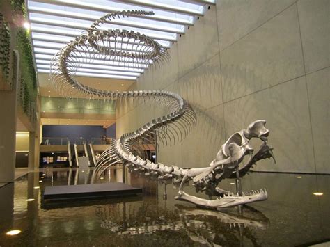 They've found the Basilisk's skeleton! : r/harrypotter