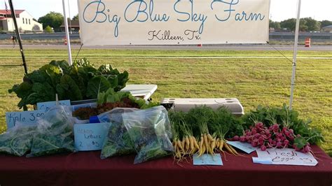 Big Blue Sky Farm - LocalHarvest