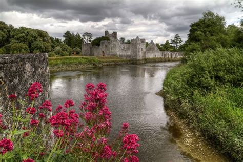 Adare Castle, County Limerick | Limerick ireland, Ireland, Celtic ireland