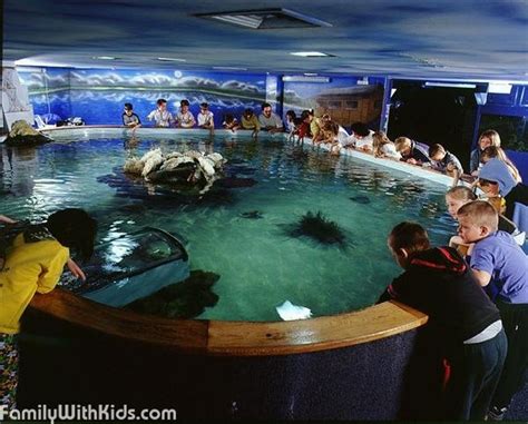 The Tropicarium in Budapest, Hungary | FamilyWithKids.com