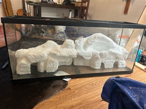 Ball python enclosure? : r/Vivarium