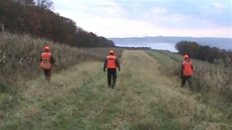 Pheasant Hunting Pennsylvania 2013 - YouTube