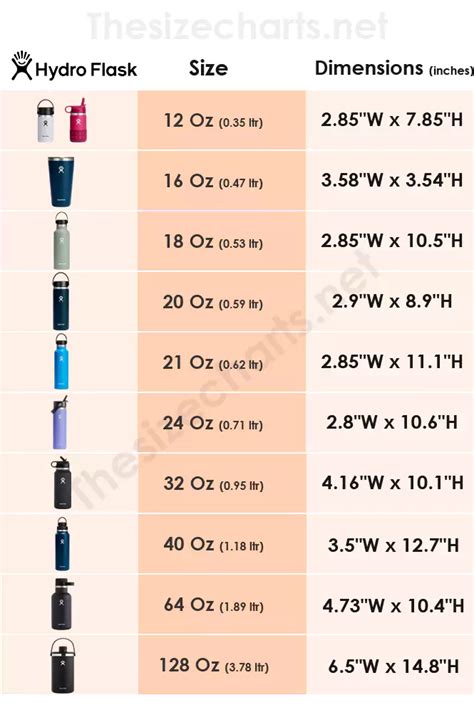 Hydro Flask Size Chart: Find Your Perfect Fit - Thesizecharts.net