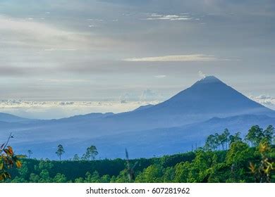 2,925 Indonesian Island Of Flores Stock Photos, Images & Photography ...