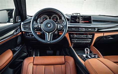 2017 Bmw X6 Interior Pictures | Cabinets Matttroy