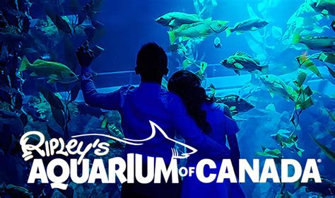 MIN BID $52 Ripley's Aquarium Four Ticket Family Pack