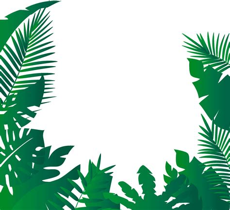 Jungle PNG transparent image download, size: 2401x2190px