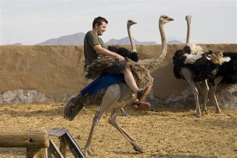 Ostrich Riding, Oudtshoorn | Murray Clarke | Flickr