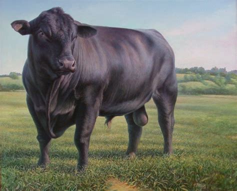 Hans Droog Artwork: Black Angus Bull | Original Painting Oil | Animals Art