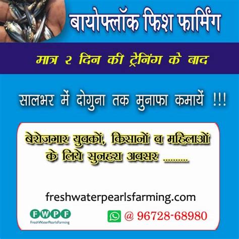 Biofloc Fish Farmnig Training In India - FreshwaterPearlsFarming