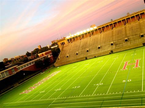 Harvard stadium at dawn. | Soccer field, Field, Stadium