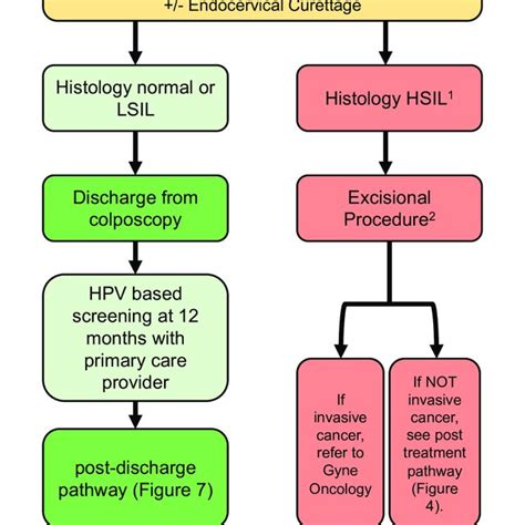 (PDF) 2023 Canadian Colposcopy Guideline: A Risk-Based Approach to Management and Surveillance ...