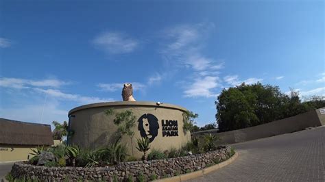 Lion & Safari Park | South Africa - YouTube