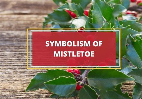 7 Powerful Meanings of Mistletoe: From Healing to Love