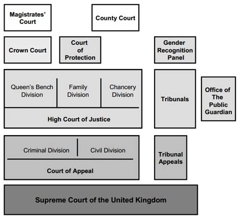 The Court System | Revision World