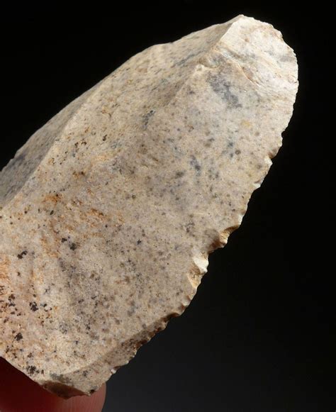 MOUSTERIAN NEANDERTHAL BLADE FLAKE TOOL SCRAPER FROM FRANCE *M409 | Archaeology, Neanderthal ...
