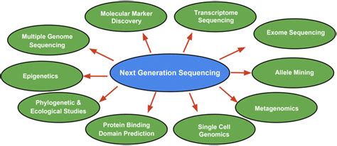 Recent Perspective of Next Generation Sequencing: Applications in Molecular Plant Biology and ...