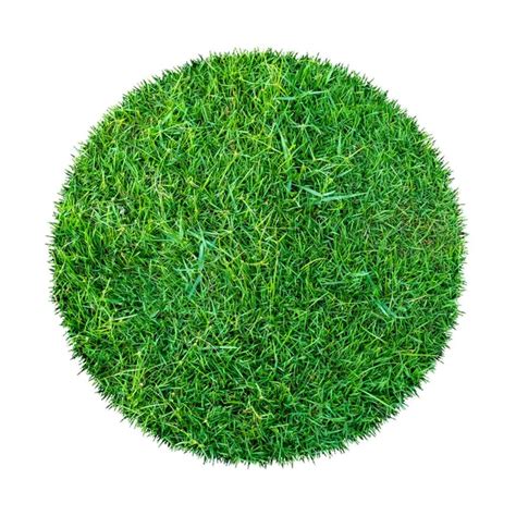 Abstract Green Grass Texture Background Circle Green Grass Pattern ...