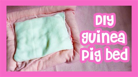 DIY Guinea Pig Bed - YouTube