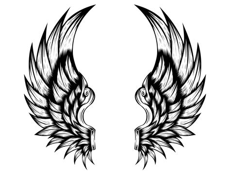 Angel wings vector design free download 8902219 Vector Art at Vecteezy