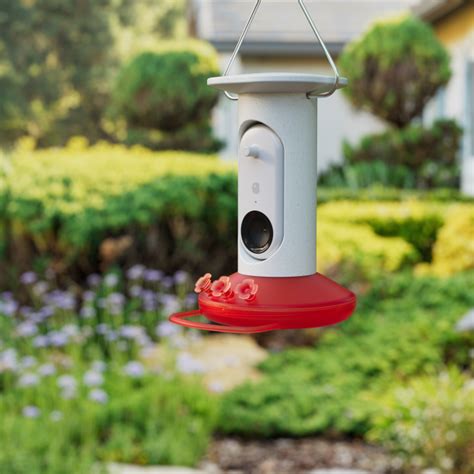 Bird Buddy's new smart hummingbird feeder can photograph and identify ...