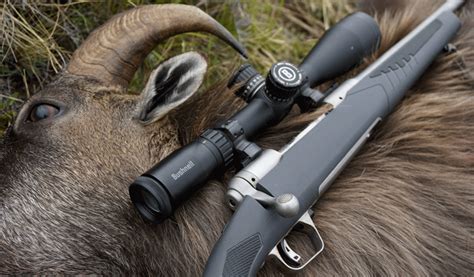 Reviewed and Tested: Savage 110 Storm AccuFit - Petersen's Hunting