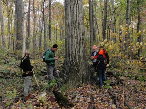 WPC Staff Favorite Moments of 2022 - Western Pennsylvania Conservancy