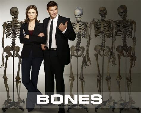 Watch Bones - Season 6 Episode 22 - The Hole in the Heart (Online Free) ~ CyberTVOnline - Watch ...