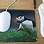 British Birds - Puffin - Quality Mouse Mat: Amazon.co.uk: Office Products