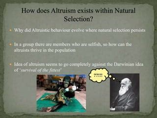 Altruism and evolution | PPT