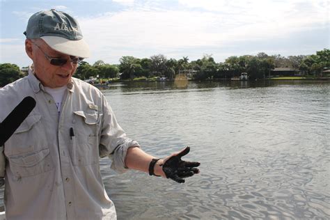 A Murky Challenge Beneath the Surface: Muck and the Indian River Lagoon