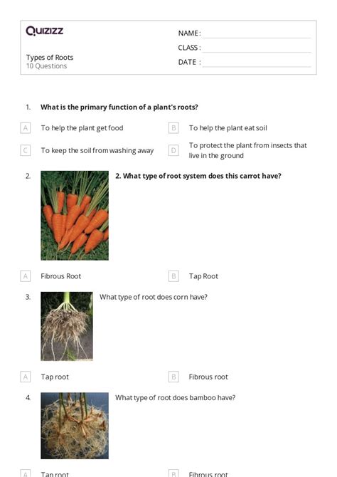 50+ Roots worksheets on Quizizz | Free & Printable