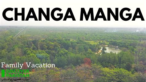 Changa Manga Forest Park Largest Manmade Forest in the world Discover ...