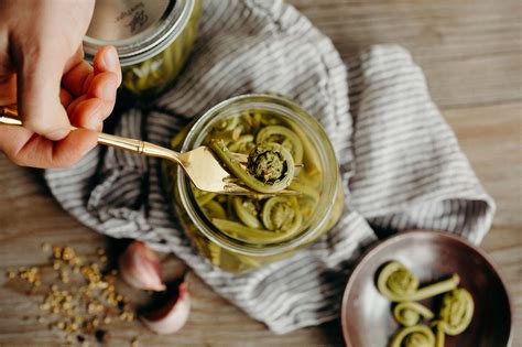 Pickled Fiddlehead Ferns | Edible Michiana